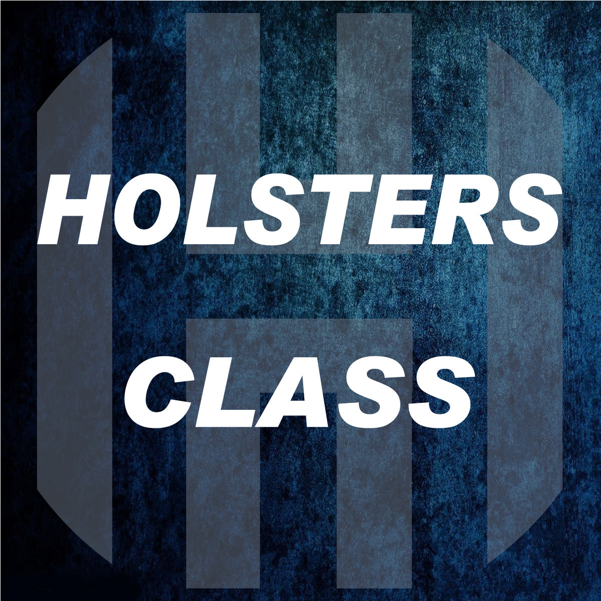 Holsters, Purses & Bags Class